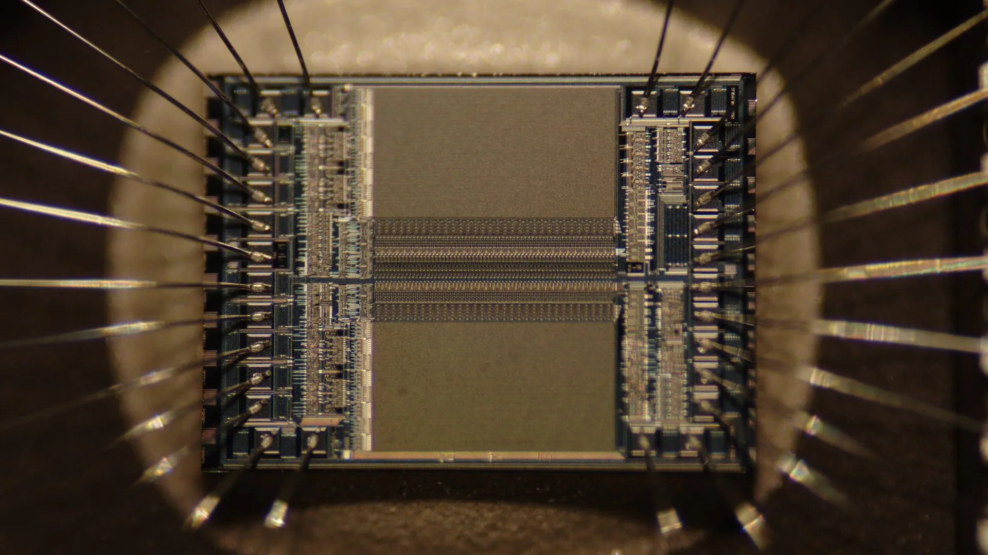 A microchip under magnification